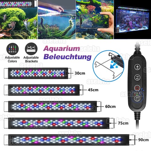 Illuminazione acquario rgb - illuminazione,