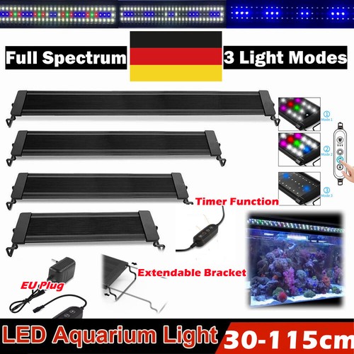 Lampada illuminazione acquario