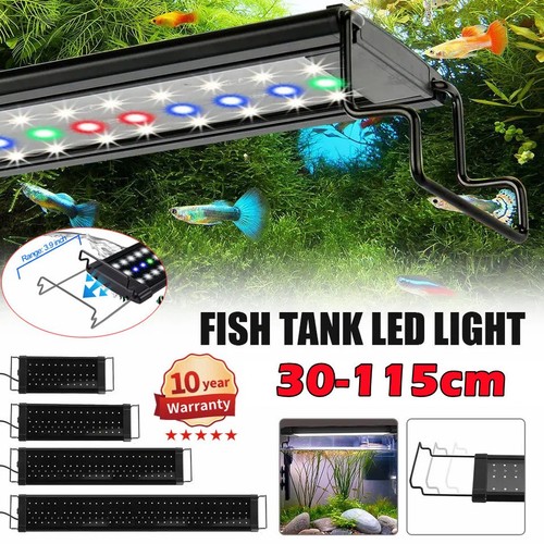 Acquario led rgb 115 con - rgb,