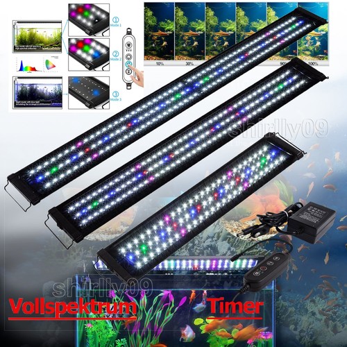Illuminazione acquario rgb - illuminazione,